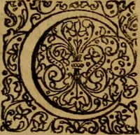 An illustration from De fideicommissis praesertim universalibus, tractatus frequentissimus, M. Antonii Peregrini ... : ab eodem ultima hac est post germanicam editionem, summa diligentia recognitus & compluribus additamentis recenter adauctus & illustratus (1668)