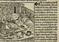An illustration from De fide meretricum in suos amatores : quaestio minus principalis vrbanitatis et facetie causa, in fine quodlibeti Heydelbergen̄. determinata a magistro Jacobo Hartlieb Landoieñ. ; nouis quibusdã additionibus nup[er] illustrata (1502)