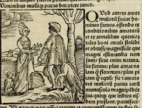 An illustration from De fide meretricum in suos amatores : quaestio minus principalis vrbanitatis et facetie causa, in fine quodlibeti Heydelbergen̄. determinata a magistro Jacobo Hartlieb Landoieñ. ; nouis quibusdã additionibus nup[er] illustrata (1502)