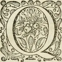 An illustration from De formvlæ regnante Christo : in veterum monumentis vsv, iustas pro regibus maximis Philippo I & II, summaque regum omnium potestate, vindicias complexa diatribe (1646)