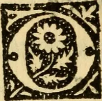 An illustration from De gestis Joanne virginis France egregie bellatricis libri quattuor... (1516)