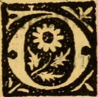 An illustration from De gestis Joanne virginis France egregie bellatricis libri quattuor... (1516)