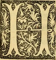 An illustration from De gestis Joanne virginis France egregie bellatricis libri quattuor... (1516)