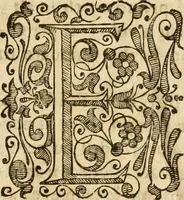An illustration from De gli eroi della serenissima casa d'Este, ch'ebbero il dominio in Ferrara, memorie di Francesco Berni, al serenissimo signor dvca Francesco d'Este .. (1640)