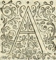 An illustration from De gli eroi della serenissima casa d'Este, ch'ebbero il dominio in Ferrara, memorie di Francesco Berni, al serenissimo signor dvca Francesco d'Este .. (1640)