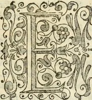An illustration from De gli eroi della serenissima casa d'Este, ch'ebbero il dominio in Ferrara, memorie di Francesco Berni, al serenissimo signor dvca Francesco d'Este .. (1640)