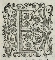 An illustration from Degli eroi della serenissima casa d'Este, ch'ebbero il dominio in Ferrara : memorie (1640)