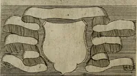 Picture 118 of 149 from De gli habiti delle religioni con le armi e breue descrittion loro, libro primo[-terza] (1626), leaf 137