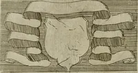 An illustration from De gli habiti delle religioni con le armi e breue descrittion loro, libro primo[-terza] (1626)