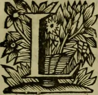 An illustration from De Graecae ecclesiae hodierno statu epistola : (1698)