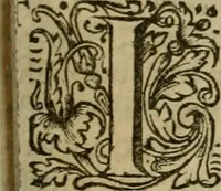 An illustration from De groote schouburgh der Nederlantsche konstschilders en schilderessen : waar van 'er vele met hunne beeltenissen ten tooneel een verschynen, en hun levensgedrag en konstwerken beschreven worden : zynde een vervolg op Het Schilderboek van K. v. Mander (1718)