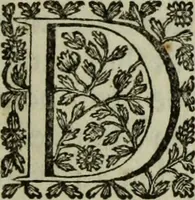 An illustration from De groote schouburgh der Nederlantsche konstschilders en schilderessen : waar van 'er veele met hunne beeltenissen ten tooneel verschynen, en hun levensgedrag en konstwerken beschreven worden : zynde een vervolg op het Schilderboek van K. v. Mander ... (1753)