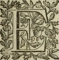 An illustration from De groote schouburgh der Nederlantsche konstschilders en schilderessen : waar van 'er veele met hunne beeltenissen ten tooneel verschynen, en hun levensgedrag en konstwerken beschreven worden : zynde een vervolg op het Schilderboek van K. v. Mander ... (1753)