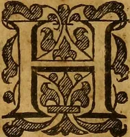 An illustration from De Hibernia & antiquitatibus ejus, disquisitiones (1658)