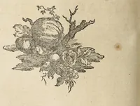 An illustration from De historia SS. imaginum et picturarum, pro vero earum usu contra abusus, libri quatuor (1771)
