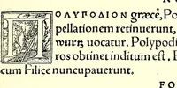 Picture 6 of 10 from De historia stirpivm commentarii insignes, maximis impensis et vigiliis elaborati, adiectis earvndem vivis plvsqvam quingentis imaginibus, nunquam antea ad naturae imitationem artificiosius effictis & expressis (1542), leaf 619