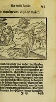 An illustration from De historie, van de Nieuwe Weerelt, te weten, de beschrijvinghe van West-Indien. : Waer in verhaelt wert, van de eylanden ende zeen nieulick gevonden ... (1610)