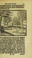 An illustration from De historie, van de Nieuwe Weerelt, te weten, de beschrijvinghe van West-Indien. : Waer in verhaelt wert, van de eylanden ende zeen nieulick gevonden ... (1610)