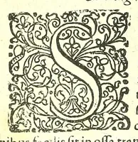 An illustration from De humani corporis fabrica libri decem : (1632)
