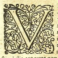 Picture 4 of 36 from De humani corporis fabrica libri decem : (1632), leaf 241