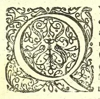 Picture 5 of 36 from De humani corporis fabrica libri decem : (1632), leaf 363
