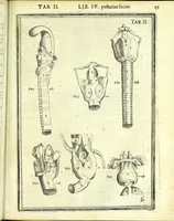 Picture 11 of 36 from De humani corporis fabrica libri decem : (1632), leaf 483