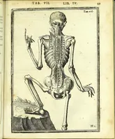 An illustration from De humani corporis fabrica libri decem : (1632)