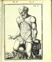 An illustration from De humani corporis fabrica libri decem : (1632)
