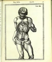 An illustration from De humani corporis fabrica libri decem : (1632)
