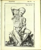 An illustration from De humani corporis fabrica libri decem : (1632)