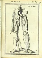 An illustration from De humani corporis fabrica libri decem : (1632)