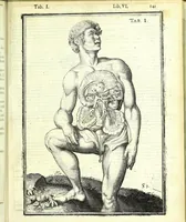 An illustration from De humani corporis fabrica libri decem : (1632)