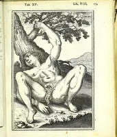 An illustration from De humani corporis fabrica libri decem : (1632)