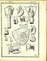 An illustration from De humani corporis fabrica libri decem : (1632)