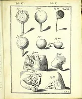 An illustration from De humani corporis fabrica libri decem : (1632)