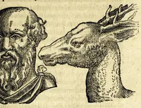 An illustration from De hvmana physiognomonia Ioannis Baptistae Portae Neapolitani libri IIII : qvi ab extimis, quae in hominum corporibus conspiciuntur signis, ita eorum naturas, mores & consilia (egregiis ad viuum expressis iconibvs) demonstrant, vt intimos animi recessus penetrare videantur ... : nunc ab innumeris mendis, quibus passim neapolitana scatebat editio, emendati, primumq[ue] in Germania in lucem editi : cum duplici rerum & verborum indice longe locupletissimo (1593)