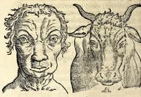 An illustration from De hvmana physiognomonia Ioannis Baptistae Portae Neapolitani libri IIII : qvi ab extimis, quae in hominum corporibus conspiciuntur signis, ita eorum naturas, mores & consilia (egregiis ad viuum expressis iconibvs) demonstrant, vt intimos animi recessus penetrare videantur ... : nunc ab innumeris mendis, quibus passim neapolitana scatebat editio, emendati, primumq[ue] in Germania in lucem editi : cum duplici rerum & verborum indice longe locupletissimo (1593)