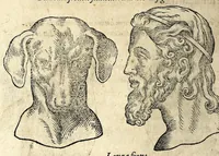 Picture 16 of 62 from De hvmana physiognomonia Ioannis Baptistae Portae Neapolitani libri IIII : qvi ab extimis, quae in hominum corporibus conspiciuntur signis, ita eorum naturas, mores & consilia (egregiis ad viuum expressis iconibvs) demonstrant, vt intimos animi recessus penetrare videantur ... : nunc ab innumeris mendis, quibus passim neapolitana scatebat editio, emendati, primumq[ue] in Germania in lucem editi : cum duplici rerum & verborum indice longe locupletissimo (1593), leaf 132