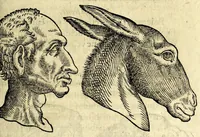 An illustration from De hvmana physiognomonia Ioannis Baptistae Portae Neapolitani libri IIII : qvi ab extimis, quae in hominum corporibus conspiciuntur signis, ita eorum naturas, mores & consilia (egregiis ad viuum expressis iconibvs) demonstrant, vt intimos animi recessus penetrare videantur ... : nunc ab innumeris mendis, quibus passim neapolitana scatebat editio, emendati, primumq[ue] in Germania in lucem editi : cum duplici rerum & verborum indice longe locupletissimo (1593)