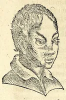 Picture 24 of 62 from De hvmana physiognomonia Ioannis Baptistae Portae Neapolitani libri IIII : qvi ab extimis, quae in hominum corporibus conspiciuntur signis, ita eorum naturas, mores & consilia (egregiis ad viuum expressis iconibvs) demonstrant, vt intimos animi recessus penetrare videantur ... : nunc ab innumeris mendis, quibus passim neapolitana scatebat editio, emendati, primumq[ue] in Germania in lucem editi : cum duplici rerum & verborum indice longe locupletissimo (1593), leaf 148