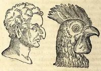 Picture 31 of 62 from De hvmana physiognomonia Ioannis Baptistae Portae Neapolitani libri IIII : qvi ab extimis, quae in hominum corporibus conspiciuntur signis, ita eorum naturas, mores & consilia (egregiis ad viuum expressis iconibvs) demonstrant, vt intimos animi recessus penetrare videantur ... : nunc ab innumeris mendis, quibus passim neapolitana scatebat editio, emendati, primumq[ue] in Germania in lucem editi : cum duplici rerum & verborum indice longe locupletissimo (1593), leaf 170