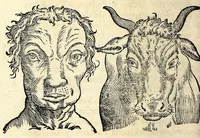 Picture 32 of 62 from De hvmana physiognomonia Ioannis Baptistae Portae Neapolitani libri IIII : qvi ab extimis, quae in hominum corporibus conspiciuntur signis, ita eorum naturas, mores & consilia (egregiis ad viuum expressis iconibvs) demonstrant, vt intimos animi recessus penetrare videantur ... : nunc ab innumeris mendis, quibus passim neapolitana scatebat editio, emendati, primumq[ue] in Germania in lucem editi : cum duplici rerum & verborum indice longe locupletissimo (1593), leaf 172