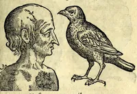 Picture 34 of 62 from De hvmana physiognomonia Ioannis Baptistae Portae Neapolitani libri IIII : qvi ab extimis, quae in hominum corporibus conspiciuntur signis, ita eorum naturas, mores & consilia (egregiis ad viuum expressis iconibvs) demonstrant, vt intimos animi recessus penetrare videantur ... : nunc ab innumeris mendis, quibus passim neapolitana scatebat editio, emendati, primumq[ue] in Germania in lucem editi : cum duplici rerum & verborum indice longe locupletissimo (1593), leaf 175