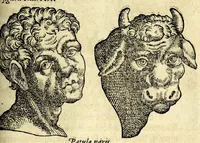 Picture 36 of 62 from De hvmana physiognomonia Ioannis Baptistae Portae Neapolitani libri IIII : qvi ab extimis, quae in hominum corporibus conspiciuntur signis, ita eorum naturas, mores & consilia (egregiis ad viuum expressis iconibvs) demonstrant, vt intimos animi recessus penetrare videantur ... : nunc ab innumeris mendis, quibus passim neapolitana scatebat editio, emendati, primumq[ue] in Germania in lucem editi : cum duplici rerum & verborum indice longe locupletissimo (1593), leaf 181