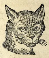Picture 38 of 62 from De hvmana physiognomonia Ioannis Baptistae Portae Neapolitani libri IIII : qvi ab extimis, quae in hominum corporibus conspiciuntur signis, ita eorum naturas, mores & consilia (egregiis ad viuum expressis iconibvs) demonstrant, vt intimos animi recessus penetrare videantur ... : nunc ab innumeris mendis, quibus passim neapolitana scatebat editio, emendati, primumq[ue] in Germania in lucem editi : cum duplici rerum & verborum indice longe locupletissimo (1593), leaf 192