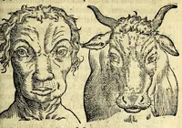 An illustration from De hvmana physiognomonia Ioannis Baptistae Portae Neapolitani libri IIII : qvi ab extimis, quae in hominum corporibus conspiciuntur signis, ita eorum naturas, mores & consilia (egregiis ad viuum expressis iconibvs) demonstrant, vt intimos animi recessus penetrare videantur ... : nunc ab innumeris mendis, quibus passim neapolitana scatebat editio, emendati, primumq[ue] in Germania in lucem editi : cum duplici rerum & verborum indice longe locupletissimo (1593)