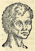 Picture 45 of 62 from De hvmana physiognomonia Ioannis Baptistae Portae Neapolitani libri IIII : qvi ab extimis, quae in hominum corporibus conspiciuntur signis, ita eorum naturas, mores & consilia (egregiis ad viuum expressis iconibvs) demonstrant, vt intimos animi recessus penetrare videantur ... : nunc ab innumeris mendis, quibus passim neapolitana scatebat editio, emendati, primumq[ue] in Germania in lucem editi : cum duplici rerum & verborum indice longe locupletissimo (1593), leaf 230