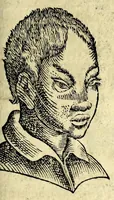 Picture 47 of 62 from De hvmana physiognomonia Ioannis Baptistae Portae Neapolitani libri IIII : qvi ab extimis, quae in hominum corporibus conspiciuntur signis, ita eorum naturas, mores & consilia (egregiis ad viuum expressis iconibvs) demonstrant, vt intimos animi recessus penetrare videantur ... : nunc ab innumeris mendis, quibus passim neapolitana scatebat editio, emendati, primumq[ue] in Germania in lucem editi : cum duplici rerum & verborum indice longe locupletissimo (1593), leaf 231
