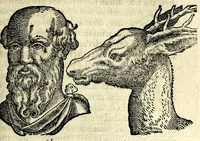 Picture 49 of 62 from De hvmana physiognomonia Ioannis Baptistae Portae Neapolitani libri IIII : qvi ab extimis, quae in hominum corporibus conspiciuntur signis, ita eorum naturas, mores & consilia (egregiis ad viuum expressis iconibvs) demonstrant, vt intimos animi recessus penetrare videantur ... : nunc ab innumeris mendis, quibus passim neapolitana scatebat editio, emendati, primumq[ue] in Germania in lucem editi : cum duplici rerum & verborum indice longe locupletissimo (1593), leaf 277