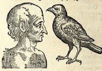 Picture 51 of 62 from De hvmana physiognomonia Ioannis Baptistae Portae Neapolitani libri IIII : qvi ab extimis, quae in hominum corporibus conspiciuntur signis, ita eorum naturas, mores & consilia (egregiis ad viuum expressis iconibvs) demonstrant, vt intimos animi recessus penetrare videantur ... : nunc ab innumeris mendis, quibus passim neapolitana scatebat editio, emendati, primumq[ue] in Germania in lucem editi : cum duplici rerum & verborum indice longe locupletissimo (1593), leaf 292